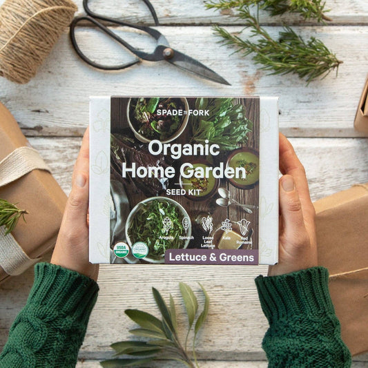 Organic Lettuce & Greens Growing Kit