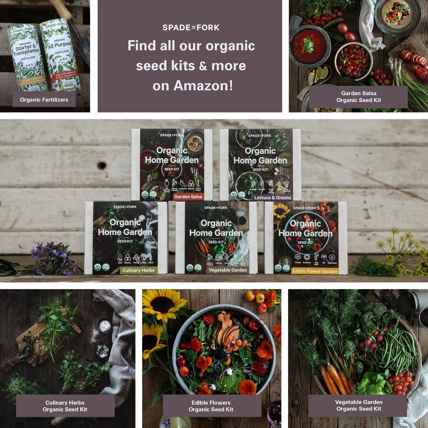 Organic Lettuce & Greens Growing Kit