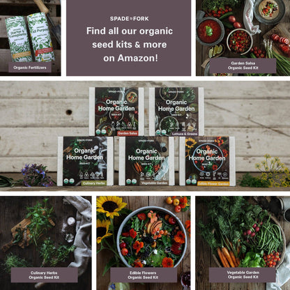 Organic Lettuce & Greens Growing Kit
