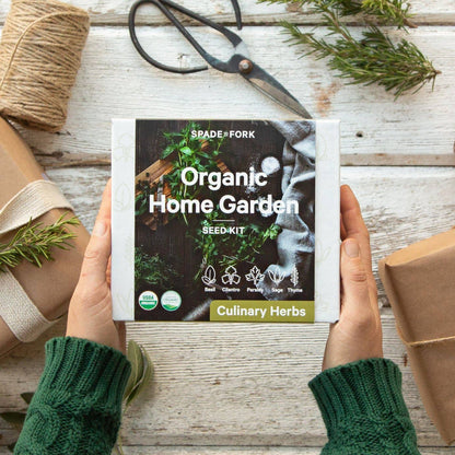 Organic Culinary Herb Growing Kit