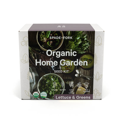 Organic Lettuce & Greens Growing Kit