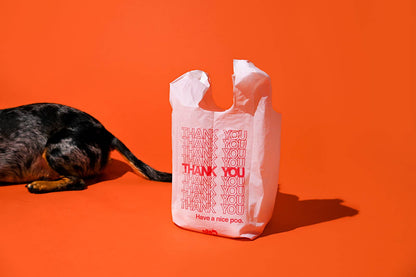 The Thank You Bag