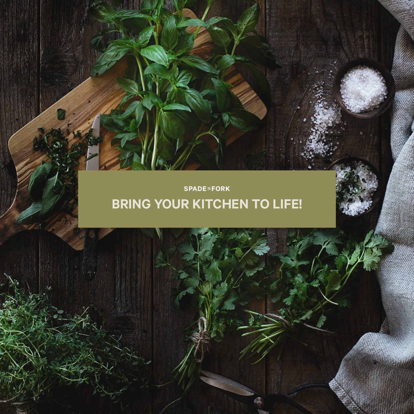 Organic Culinary Herb Growing Kit