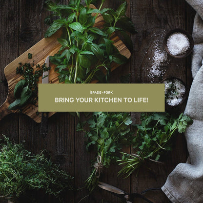 Organic Culinary Herb Growing Kit